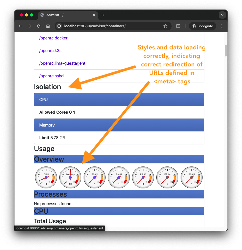 Screen capture with cAdvisor styles and fetched data displayed, indicating successful redirect of URLS in meta tags