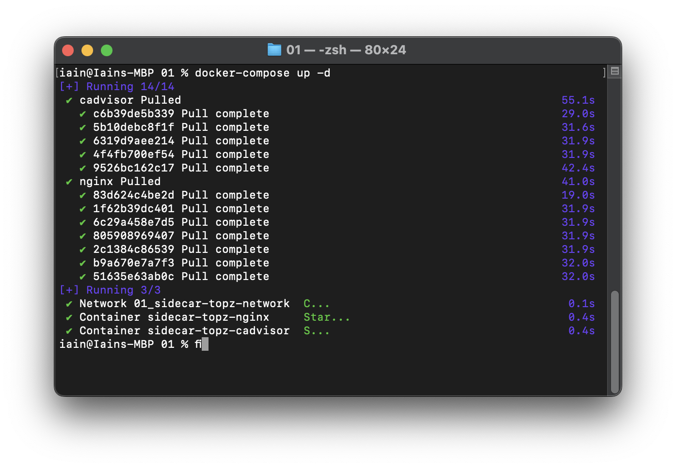 Screen capture of terminal output of docker-compose up command